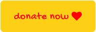 donate now 